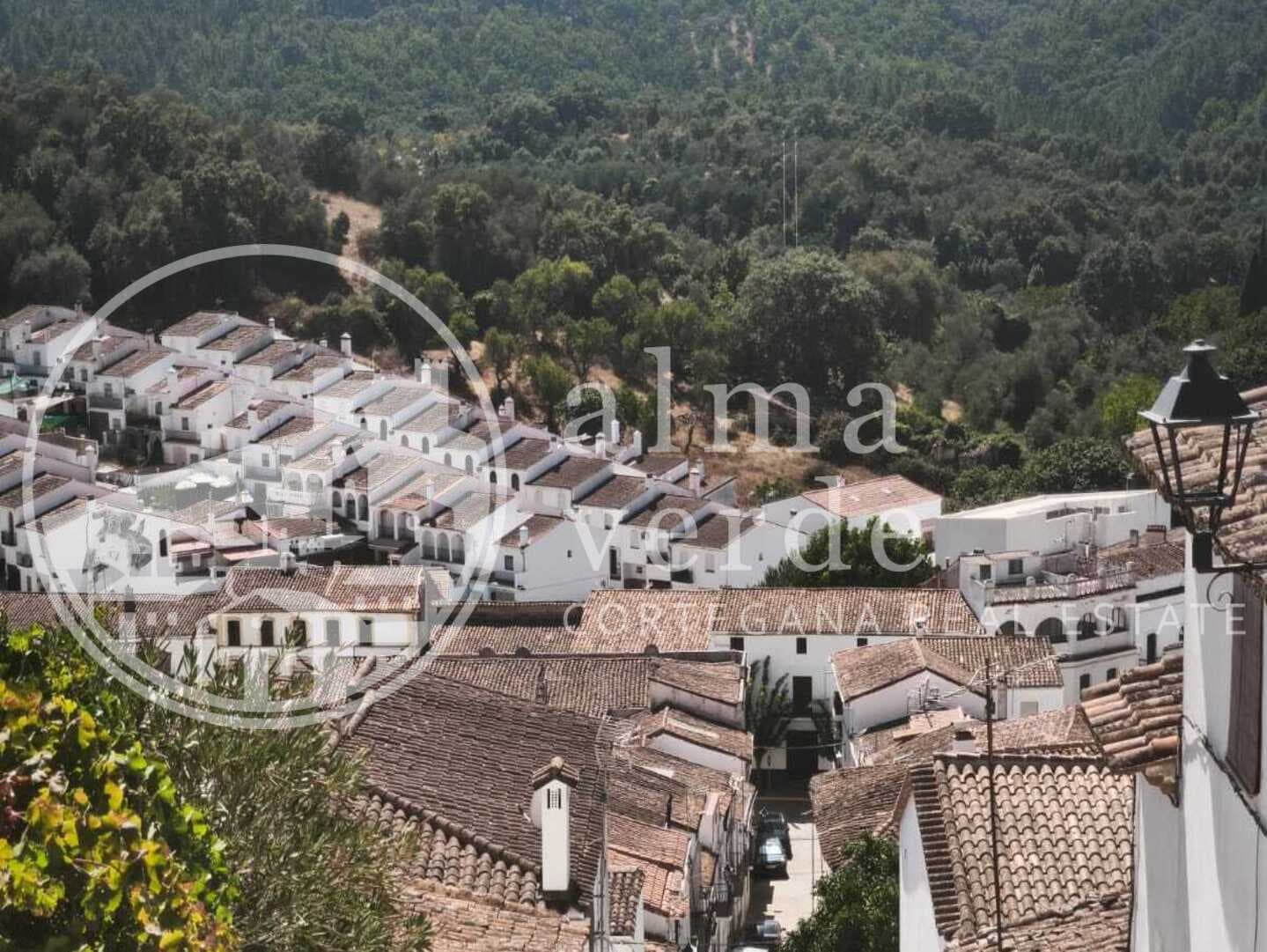 Finca con increíbles vistas y ruina inscrita como vivienda en Cañada del Oso. - Imagen 8