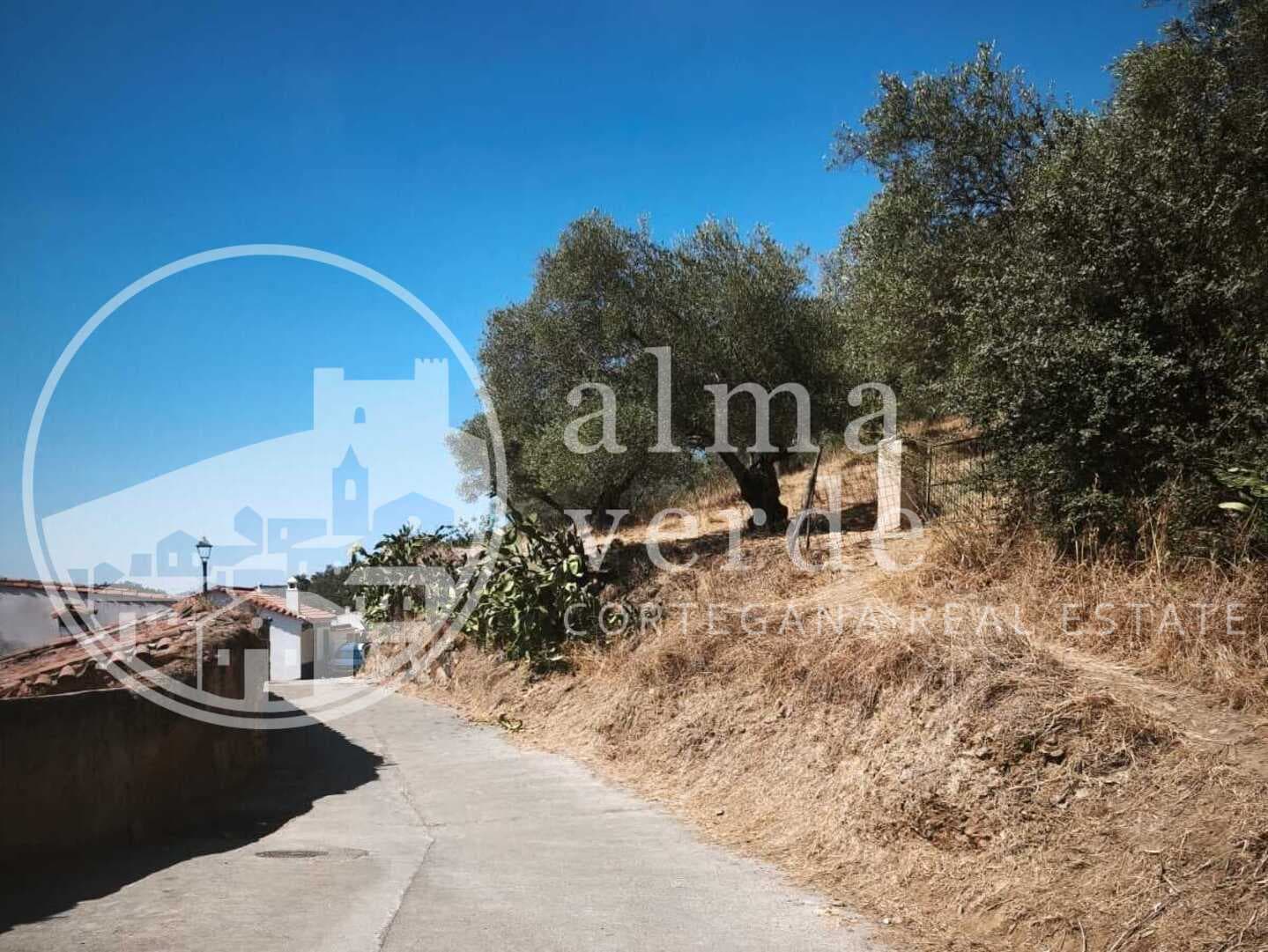 Finca con increíbles vistas y ruina inscrita como vivienda en Cañada del Oso. - Imagen 2