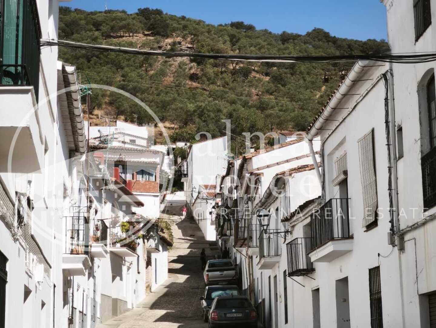 Finca con increíbles vistas y ruina inscrita como vivienda en Cañada del Oso. - Imagen 5