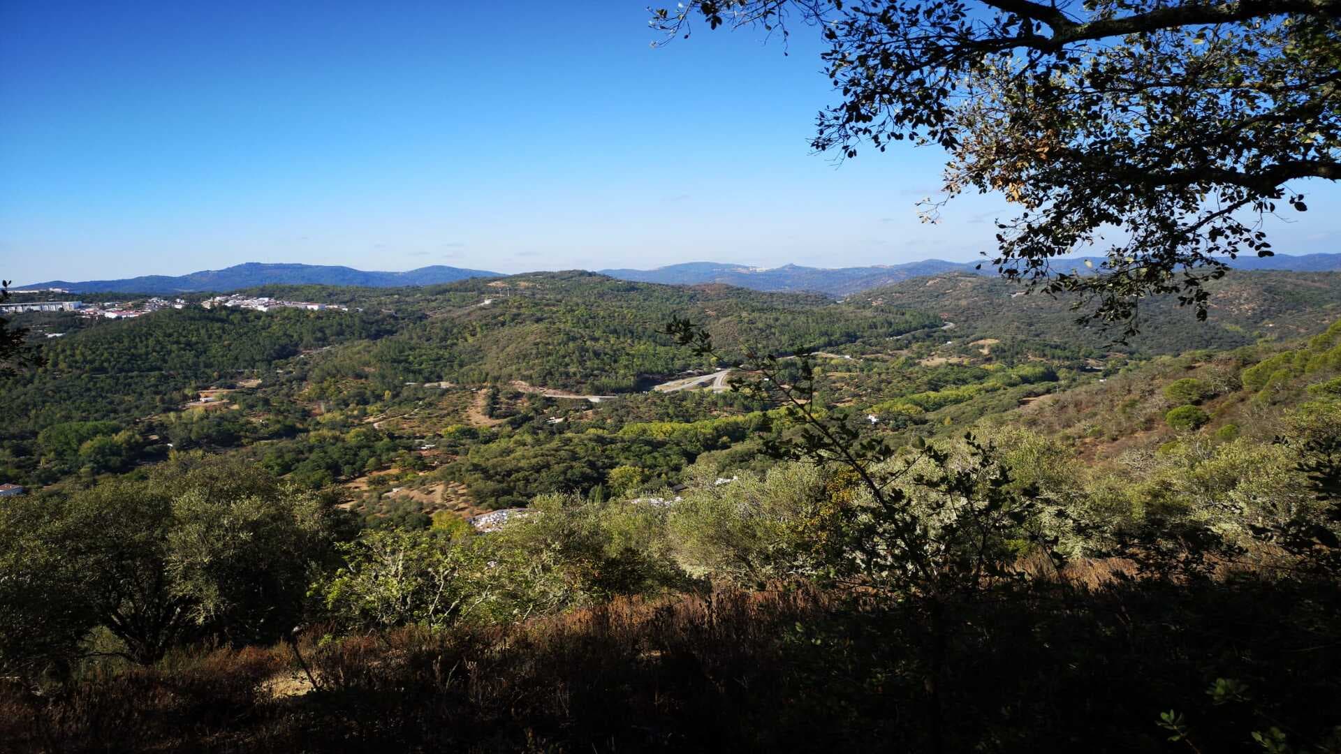 Finca con increíbles vistas y ruina inscrita como vivienda en Cañada del Oso.