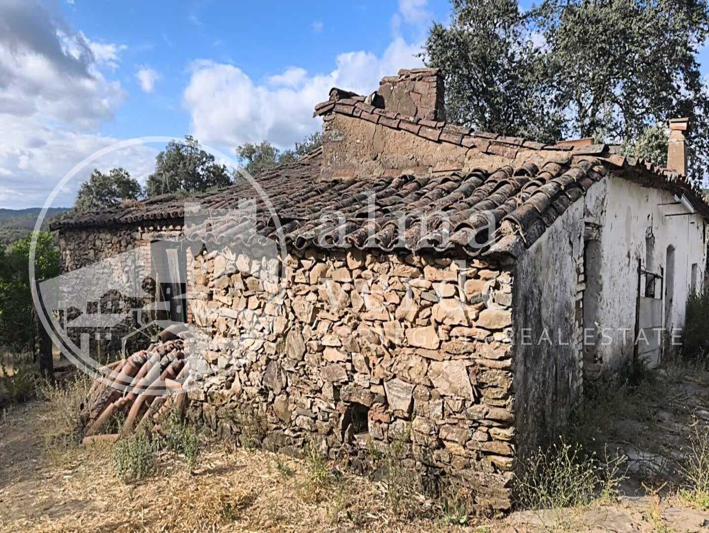 Magnifica finca de 10 hectáreas en umbría con microclima propio. - Imagen 10