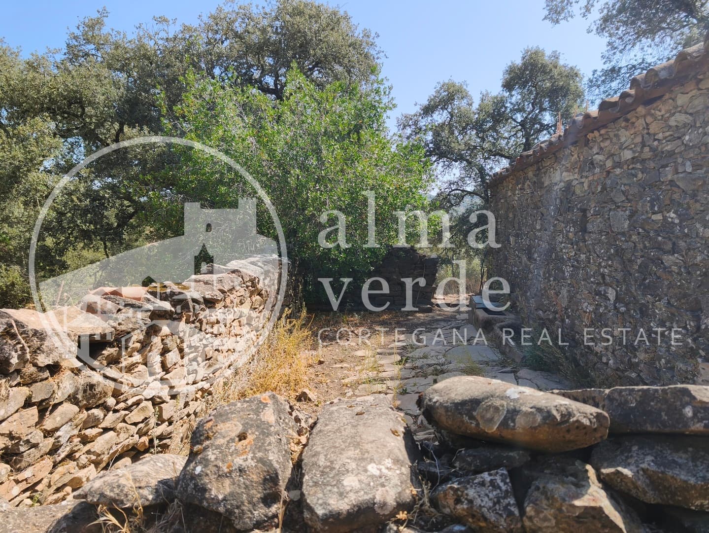 Magnifica finca de 10 hectáreas en umbría con microclima propio. - Imagen 15
