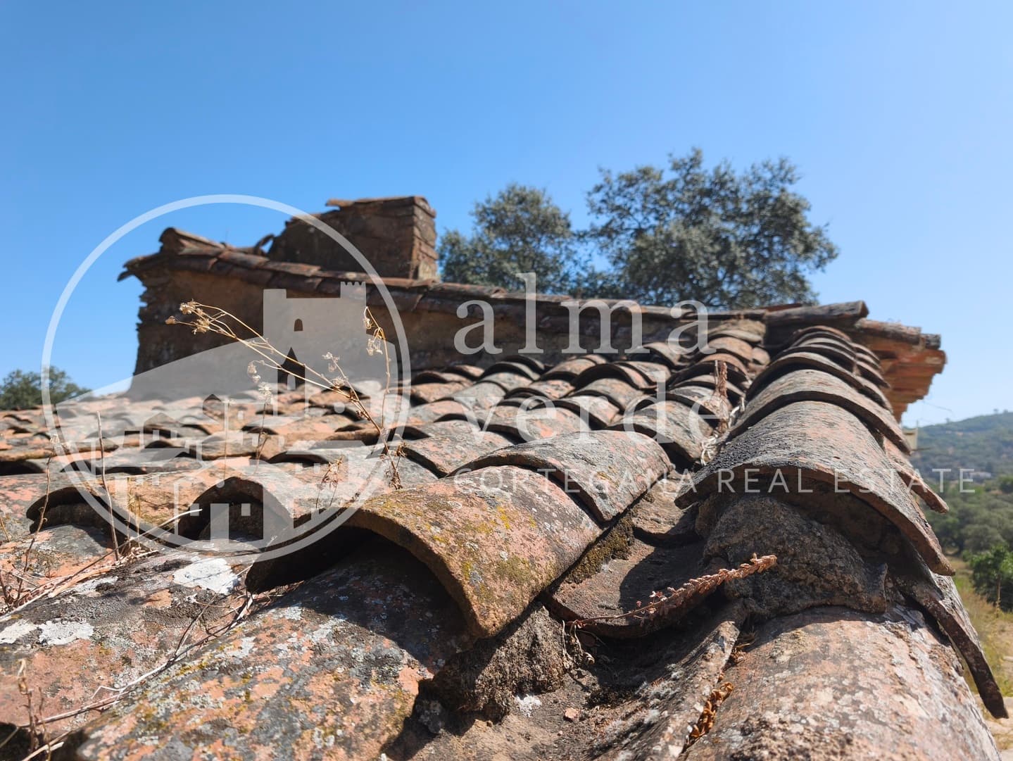 Magnifica finca de 10 hectáreas en umbría con microclima propio. - Imagen 22