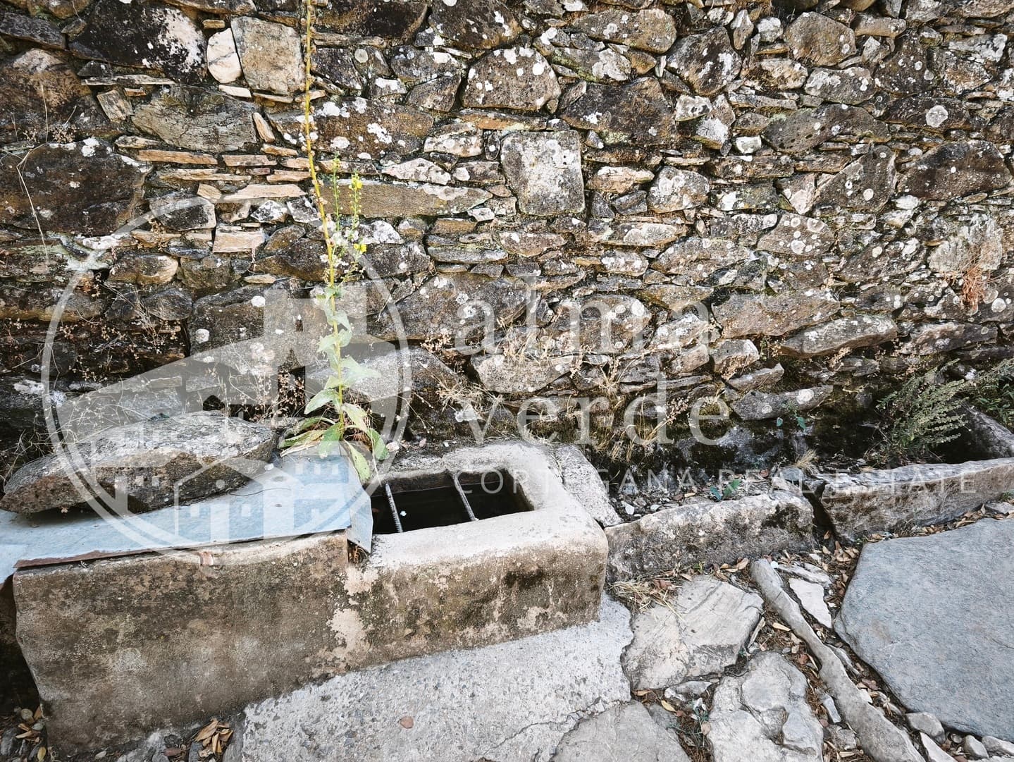 Magnifica finca de 10 hectáreas en umbría con microclima propio. - Imagen 24