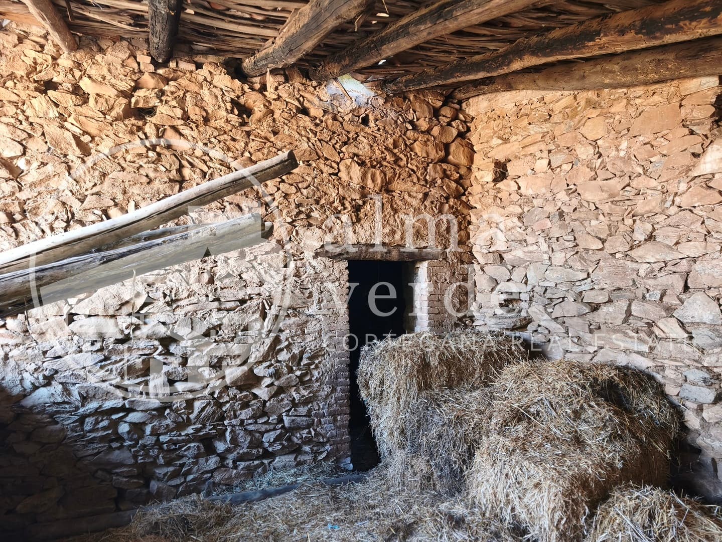 Magnifica finca de 10 hectáreas en umbría con microclima propio. - Imagen 19
