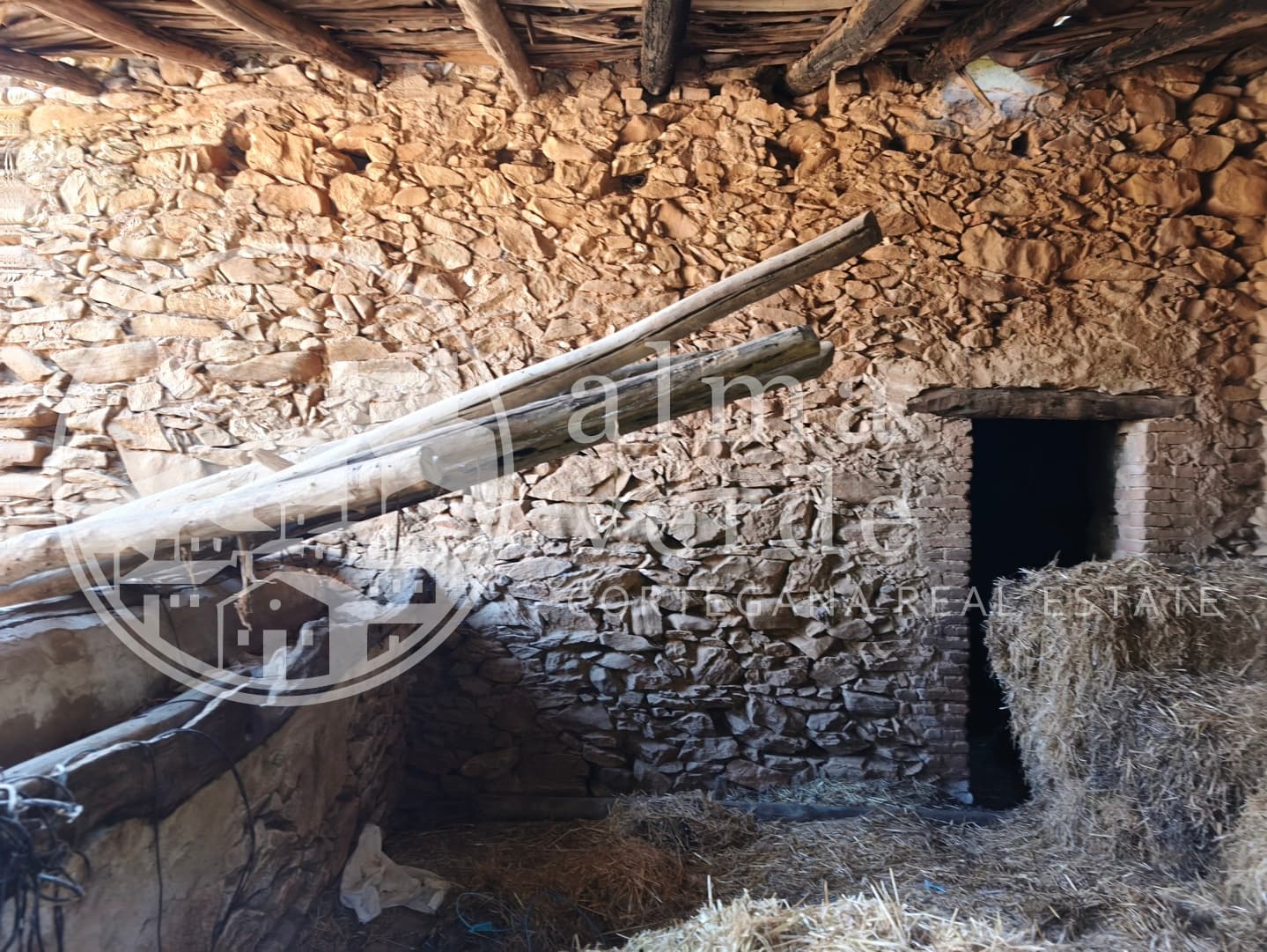 Magnifica finca de 10 hectáreas en umbría con microclima propio. - Imagen 20