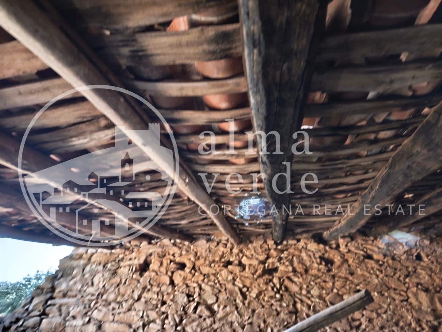 Magnifica finca de 10 hectáreas en umbría con microclima propio. - Imagen 21