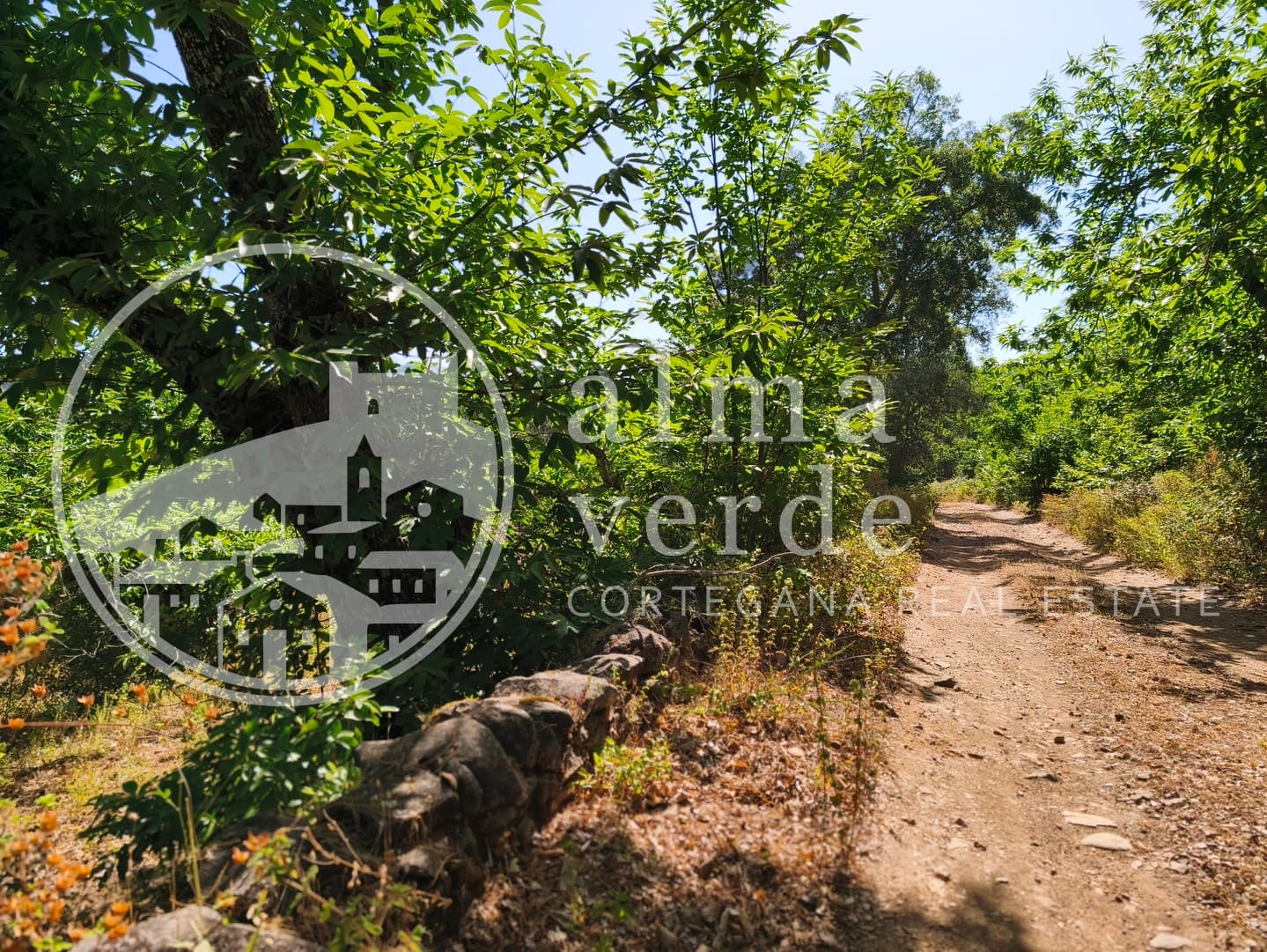 Magnifica finca de 10 hectáreas en umbría con microclima propio. - Imagen 2