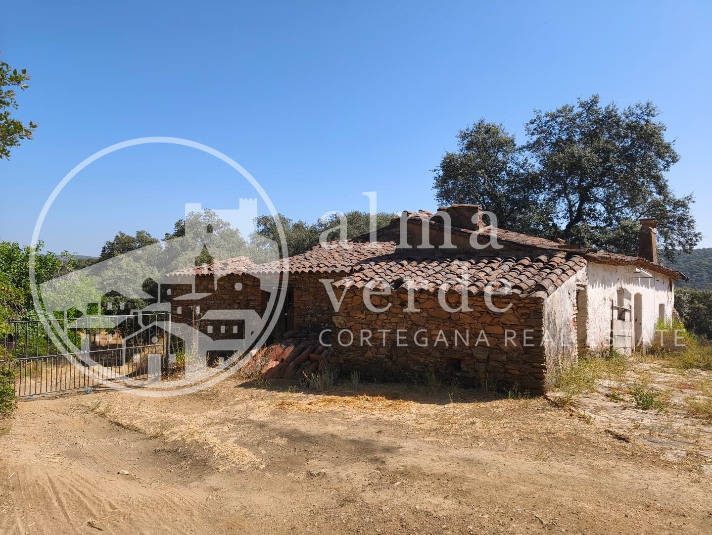 Magnifica finca de 10 hectáreas en umbría con microclima propio. - Imagen 8
