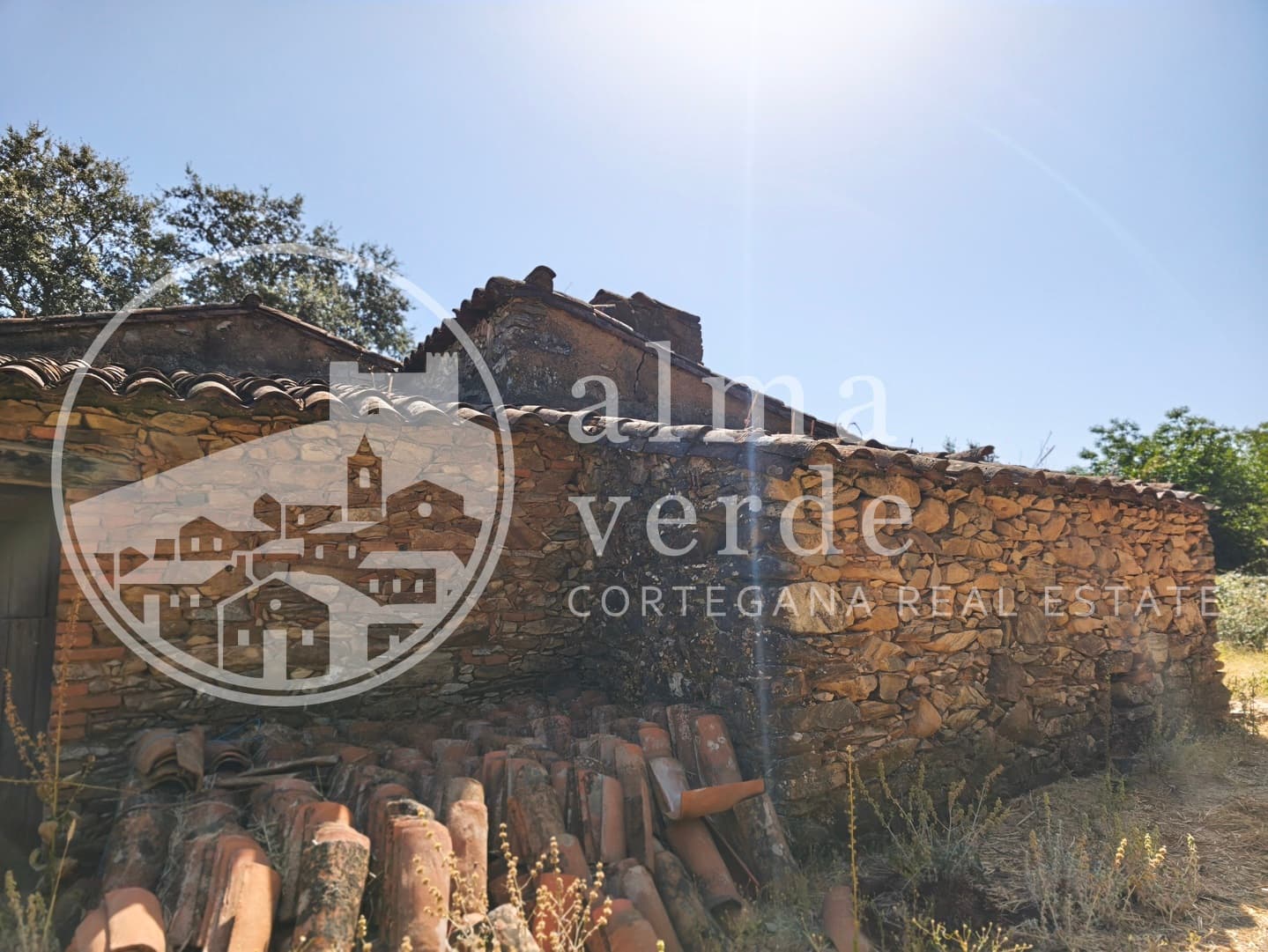 Magnifica finca de 10 hectáreas en umbría con microclima propio. - Imagen 14