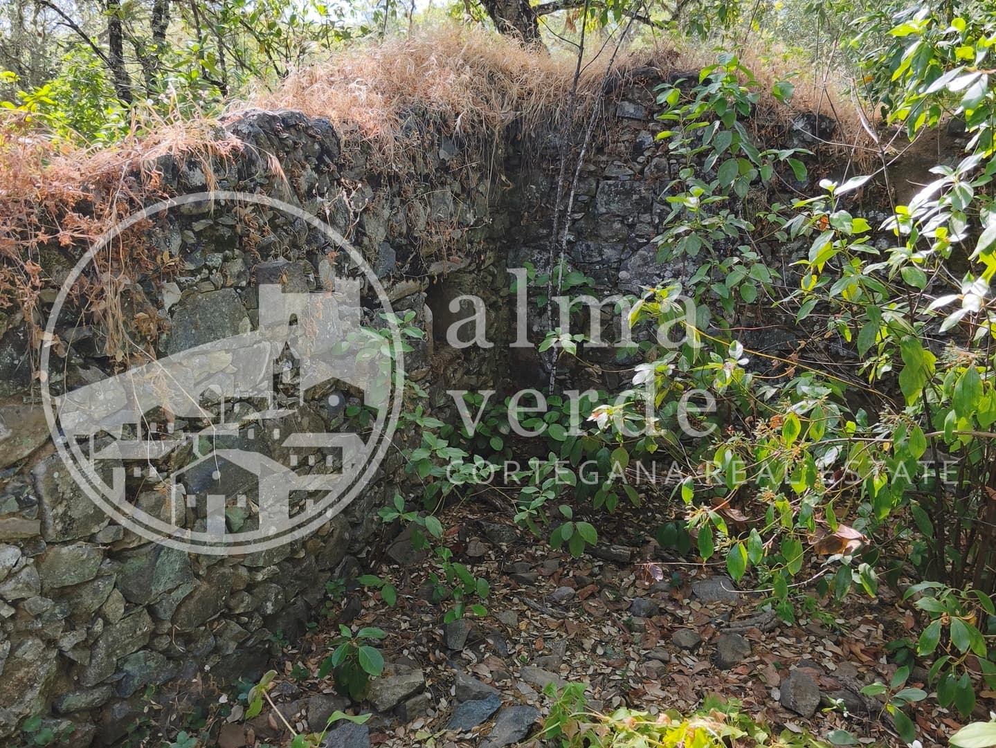 Magnifica finca de 10 hectáreas en umbría con microclima propio. - Imagen 3
