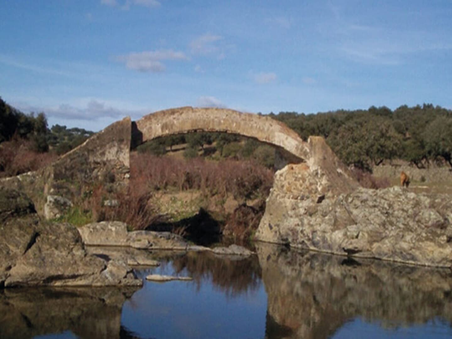 Finca en plena Cañada Real histórica de trashumancia a Portugal. - Imagen 11
