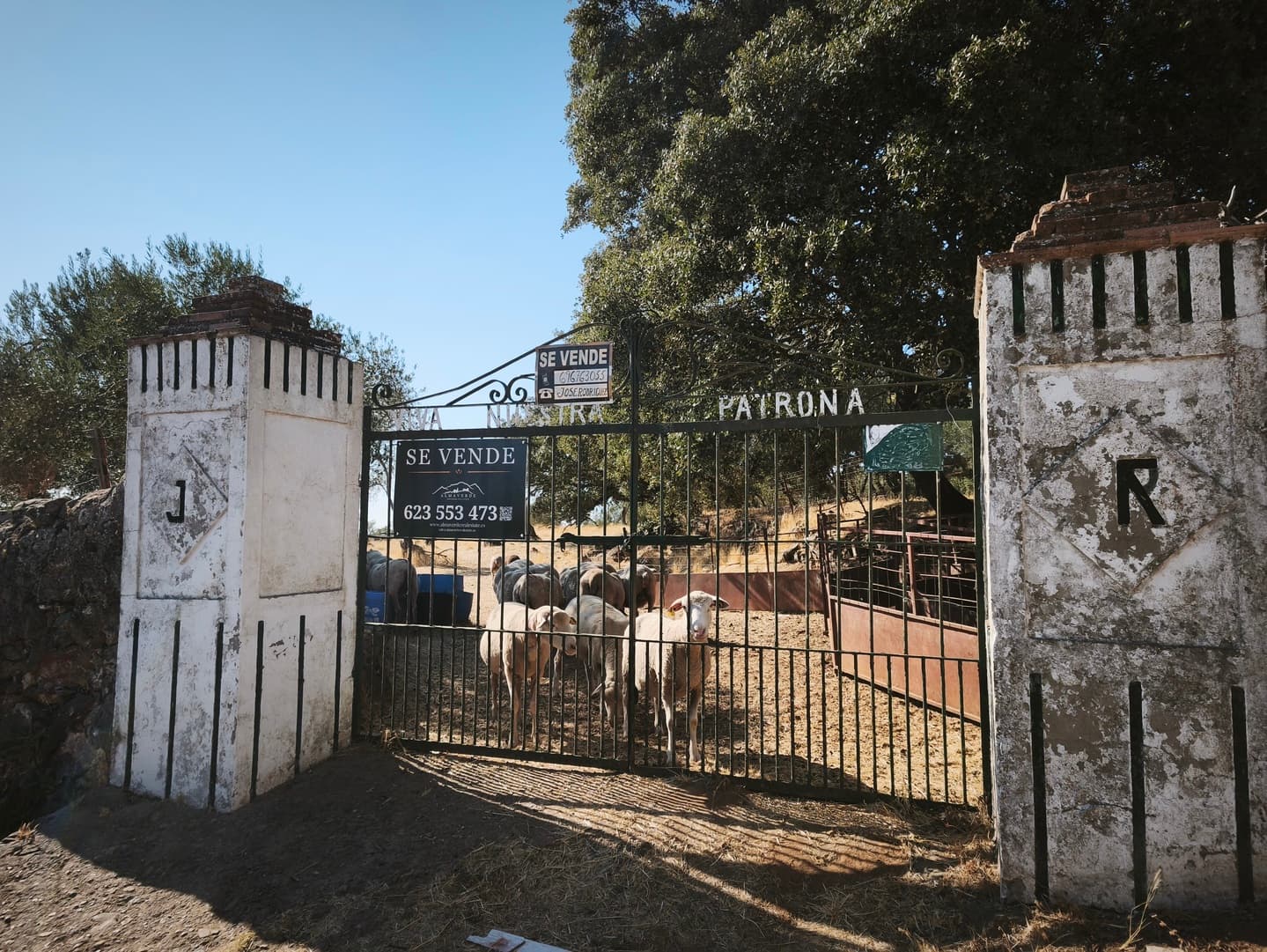 Finca en plena Cañada Real histórica de trashumancia a Portugal. - Imagen 4