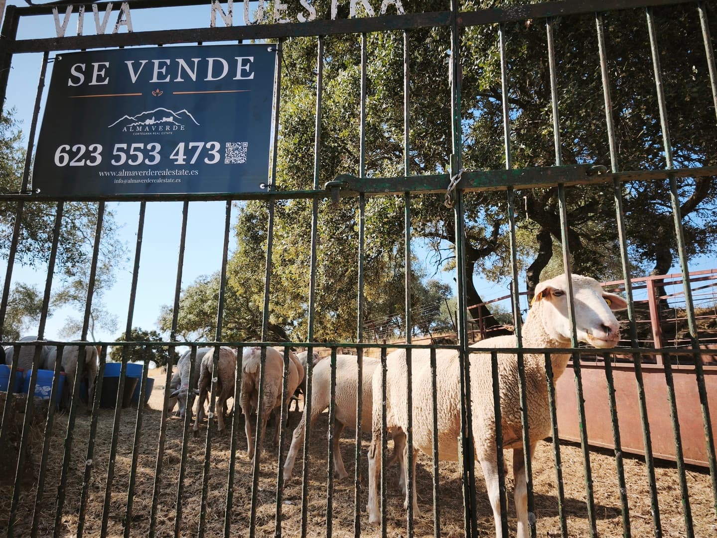Finca en plena Cañada Real histórica de trashumancia a Portugal. - Imagen 5