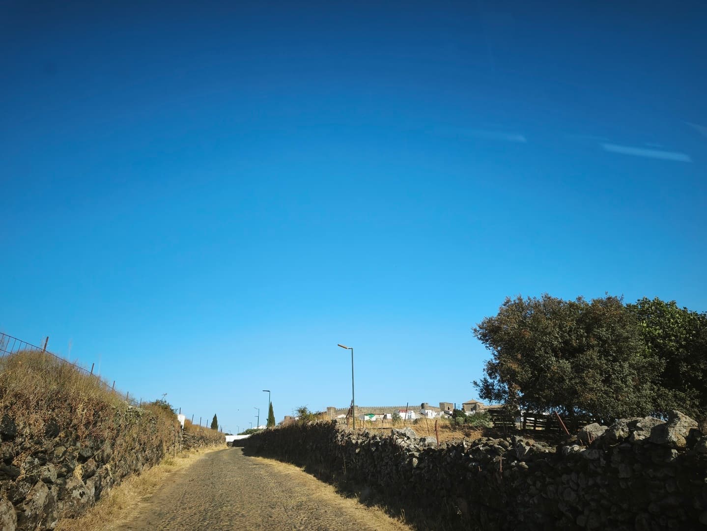 Finca en plena Cañada Real histórica de trashumancia a Portugal. - Imagen 10