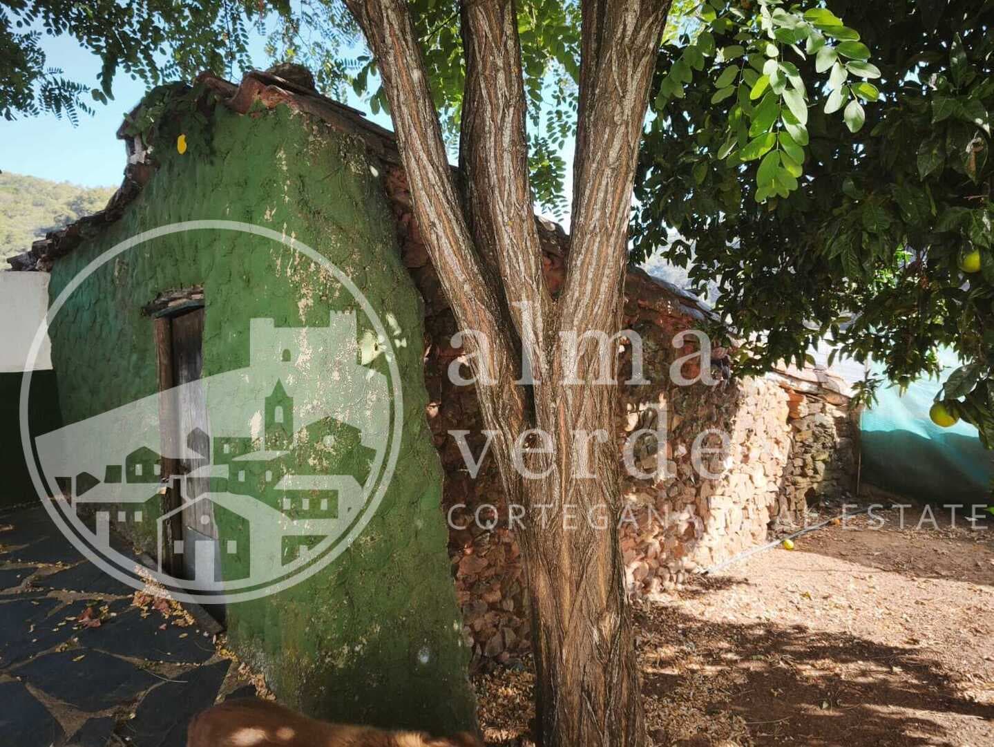 Oportunidad de alquiler de Octubre a Junio: Casa con 3 dormitorios en la bonita aldea de Los Andreses. - Imagen 12