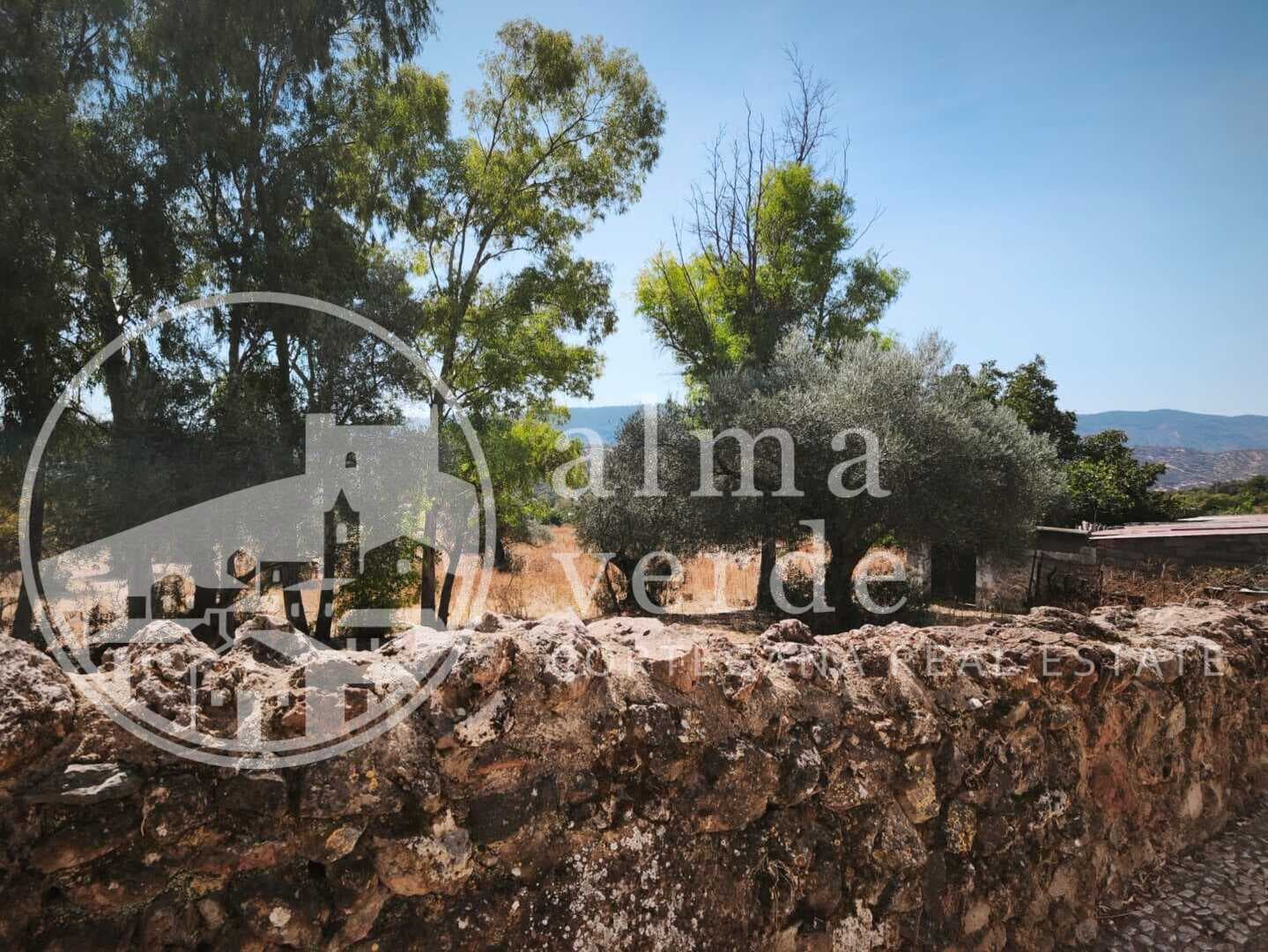 Refugio singular de fin de semana con alto valor arquitectónico en pleno Parque Natural Sierra de Aracena y Picos de Aroche. - Imagen 14